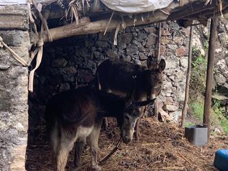 <b>WhatsApp Image 2025-12-09 at 21.14.21 (POTES DE ETIENNE)</b>